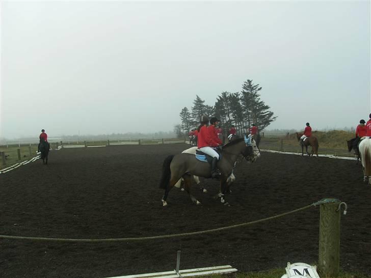 Anden særlig race Zorba<3 - jagt i hodsager billede 3