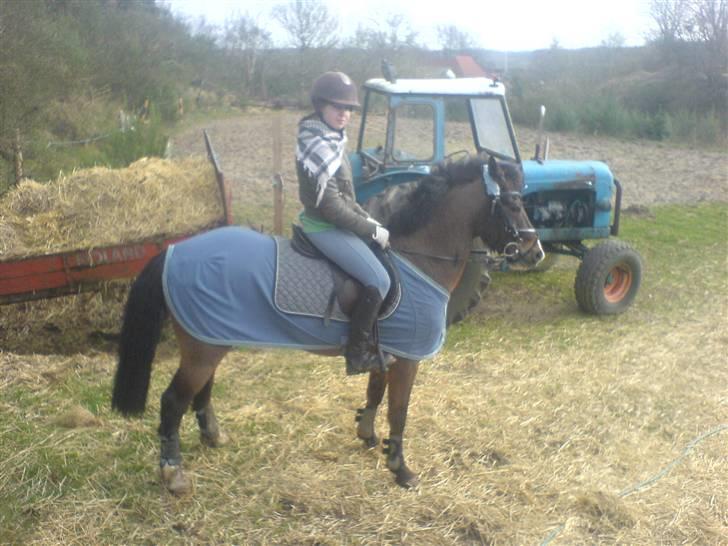 Anden særlig race Zorba<3 - mig og zorba mus lige kommet hjem fra en dejlig lang skovtur billede 5