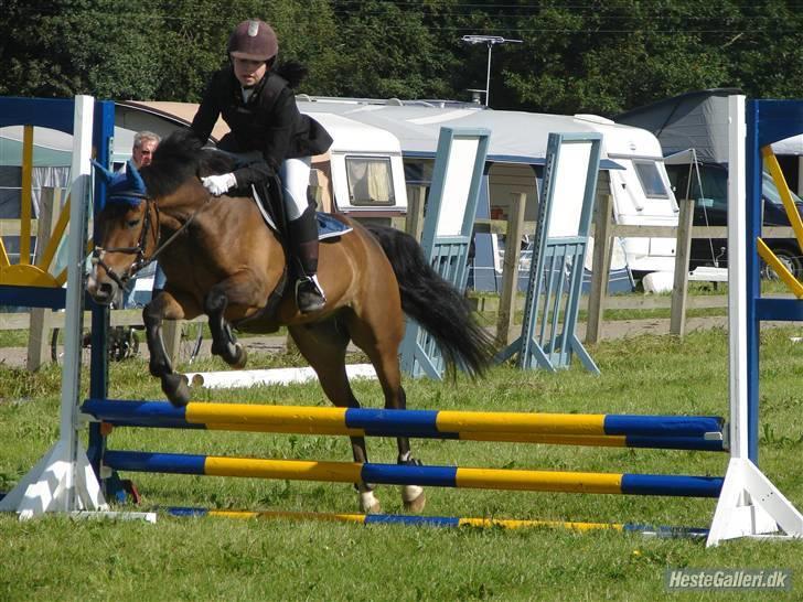 Anden særlig race Zorba<3 - ihh hvor er han sød billede 10