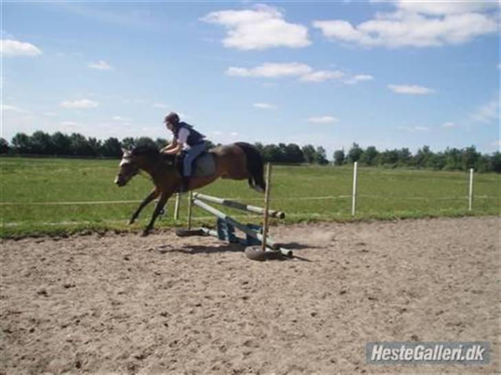 Anden særlig race Zorba<3 - følger ikke så godt med. men han er super dejlig billede 12