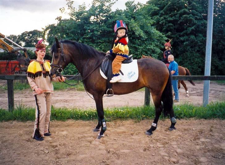 New Forest Holmens Amanda - Amanda til Horseshow 2002 billede 12