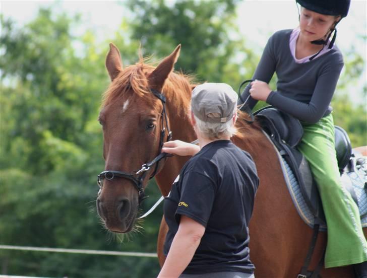 Hannoveraner Gaston - Min niece får undervisning billede 10