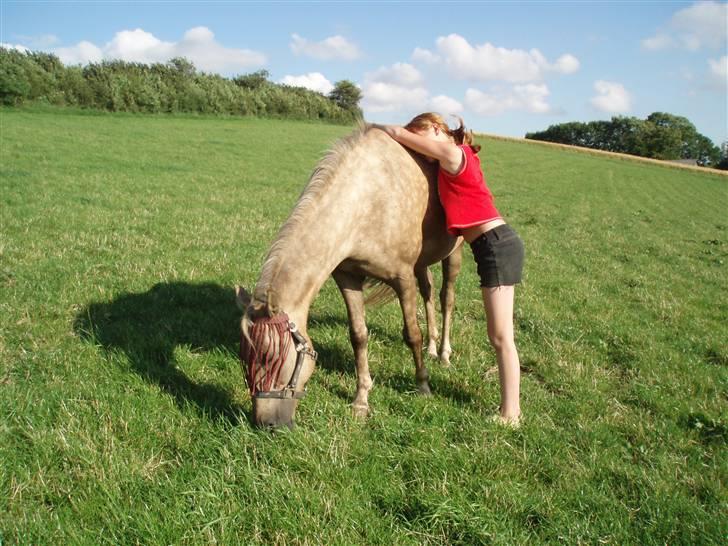 Anden særlig race R.I.P. Blondie ll - tykke :) haha. billede 6