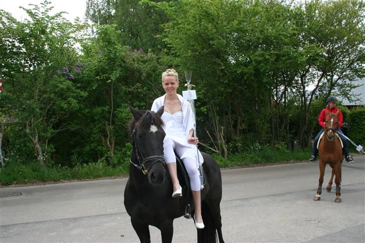 Anden særlig race Felicity solgt ;( - spriner 75 cm  billede 3