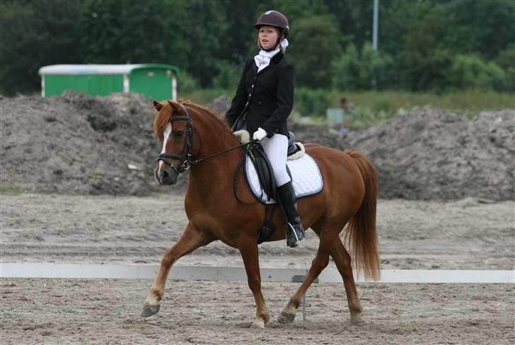 Anden særlig race Sukema - Solgt - Kring ´07 - schenkelvigning billede 7