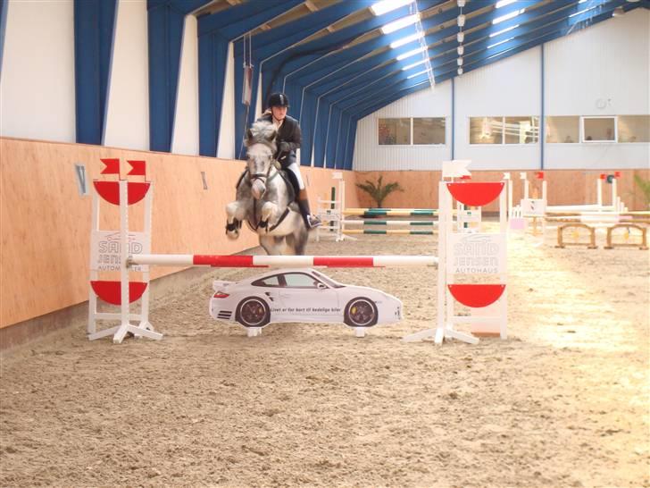 Hollandsk Sportspony Paco  - Middelfart Ridecenter (: ! Paco LB <33 Mesterfoto : Mor (: <3 billede 6