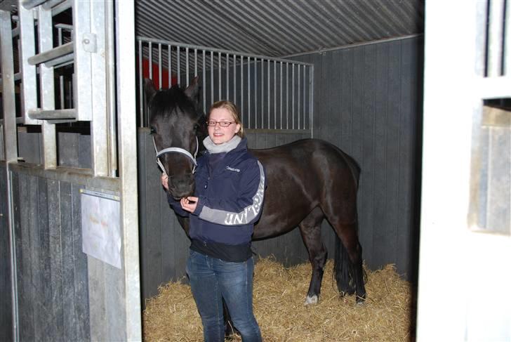 New Forest Åbakkens Mayfield SOLGT - Sidste gang jeg så hende. billede 14