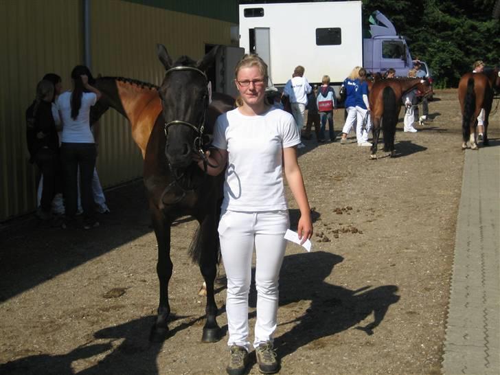 New Forest Åbakkens Mayfield SOLGT billede 16