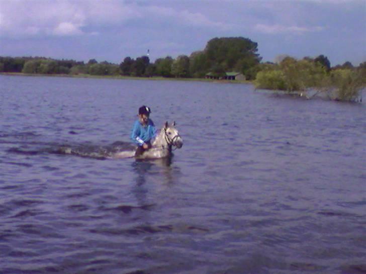 Anden særlig race Rositta. Solgt 2008, aflivet 2011 :-( - en varm sommerdag (´: billede 4
