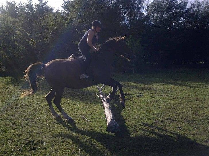 Anden særlig race Kiaya - Så er vi igang med at springe!!! OG VI NYDER DET FOR VILDT!!! billede 4