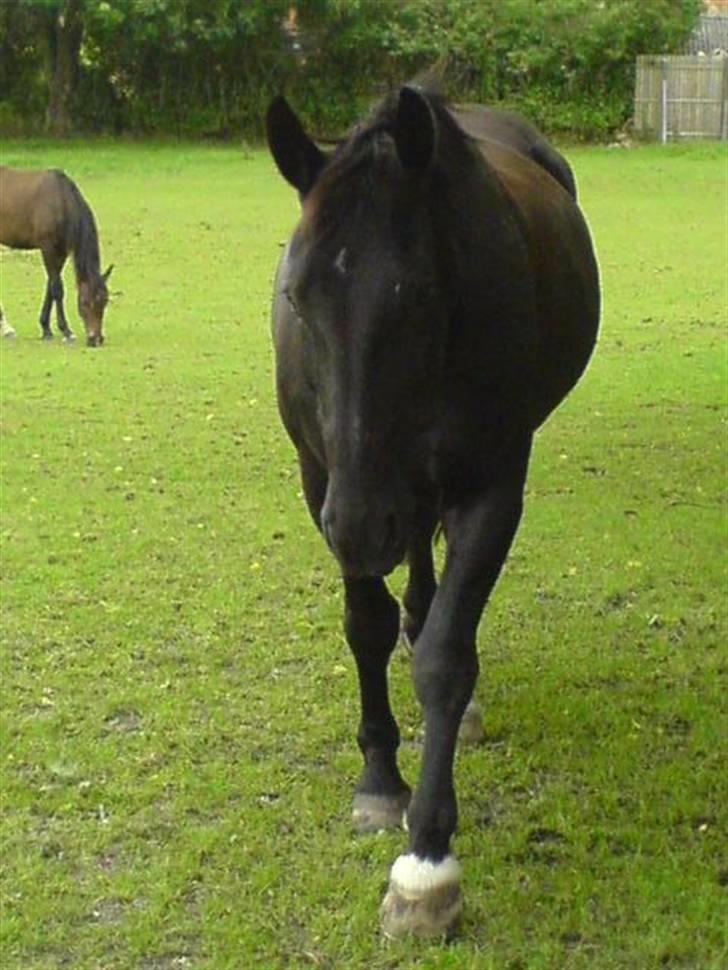 Oldenborg Guri (død) :( - Guri piqen (: <3 billede 1