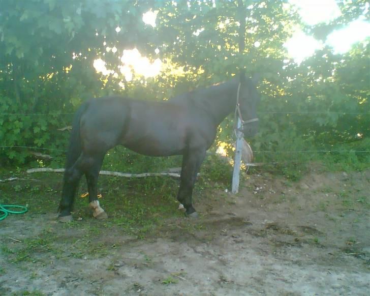 Oldenborg Guri (død) :( - min skat(: billede 2