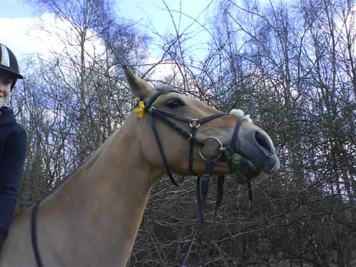 Anden særlig race * Madonna *  R.I.P <3 :'( - dinna bliver kløet af milton billede 5