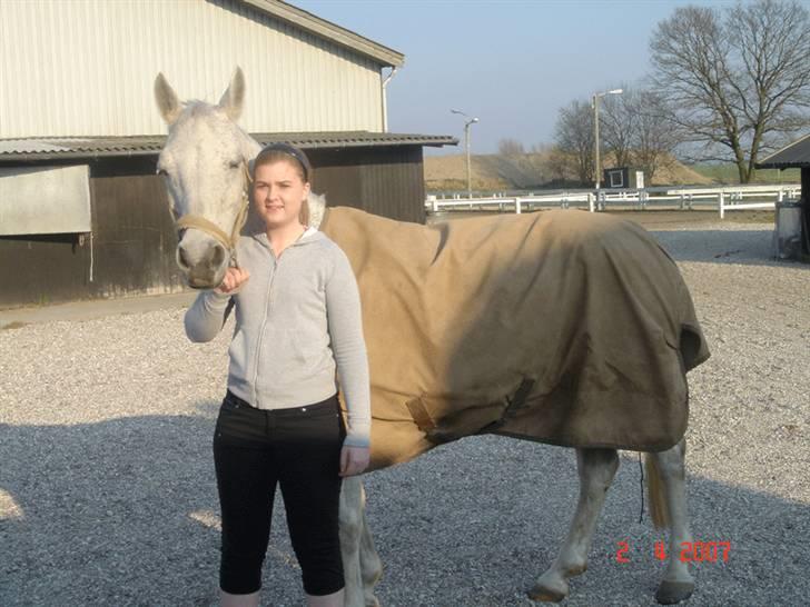 Connemara Troldebakkens Cuchulain  - Min pony og jeg på gårdspladsen  billede 2
