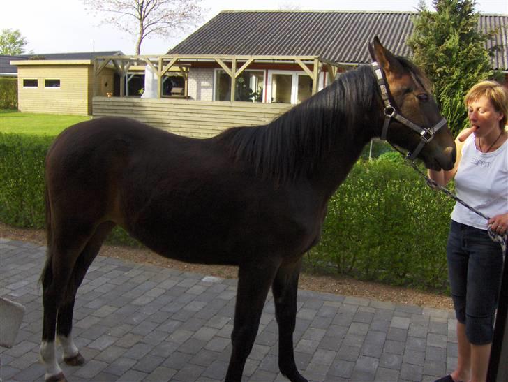 Anden særlig race Fari - Min prolle (: billede 3