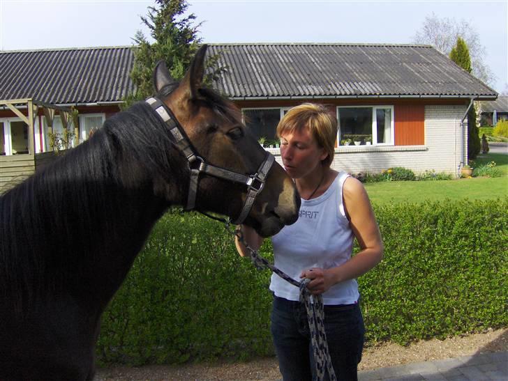 Anden særlig race Fari - Smukke Fari (: billede 4