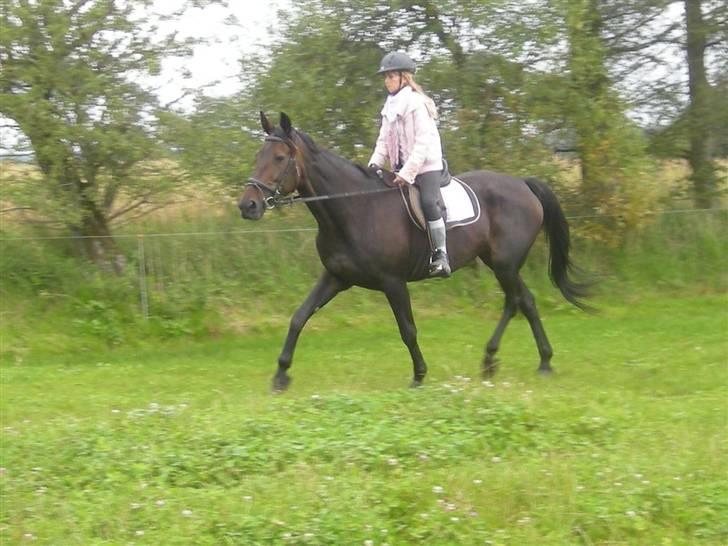 Traver greedynes - Greedynes i nice trav! (: elsker den  tøz ;D billede 1