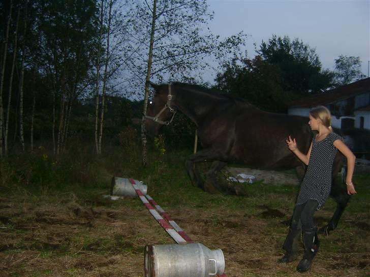 Traver greedynes - fra at væer barnge for bumen til det her billede 2