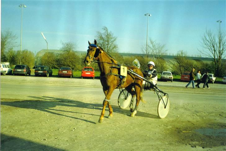 Traver Tonka Brogård (R.I.P) - min første trav sejer med tonka billede 1