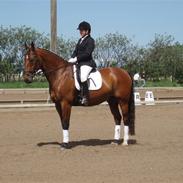 Oldenborg Tidligere lånehest: Aleppo