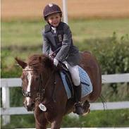 Anden særlig race Mimmi (solgt)