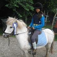 Anden særlig race Dalle