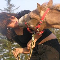 Sportsaraber (A) † Shalom E'jaaz - SOLGT † 