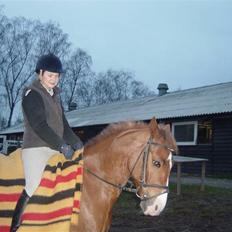 Anden særlig race Firebird       {SOLGT!}