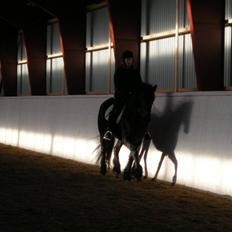 Frieser Maaike Margreet