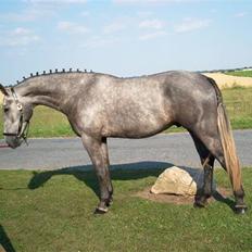 Oldenborg Madame Fleur