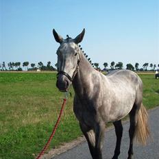 Oldenborg Madame Fleur