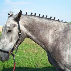 Oldenborg Madame Fleur