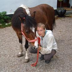 Anden særlig race Hunter *R.I.P*