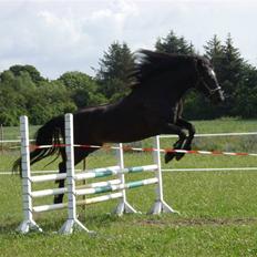 Anden særlig race Lightning R.I.P :'(