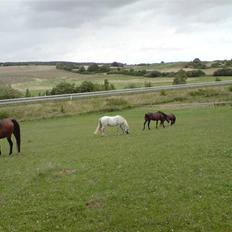 Connemara Skousboe Make My way
