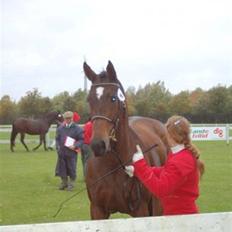 Fuldblod (XX) Evidence R.I.P.