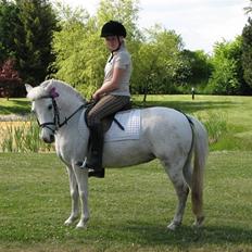 Anden særlig race fazet(gammel part)...