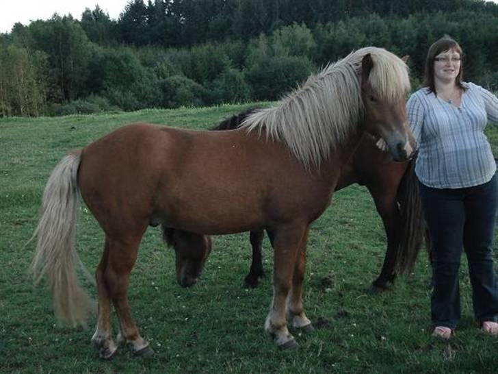 Islænder Glanni f Annesminde Solgt - Glanni og mig på hingstefolden 2007. (mig højgravid) billede 1