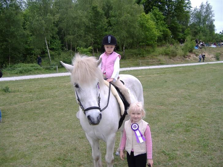 Islænder Litli Gráni f Laugabæ RIP - Præmieoverrækkelse. Sandra nr. 2 og Lea nr. 4. Super hyp billede 2