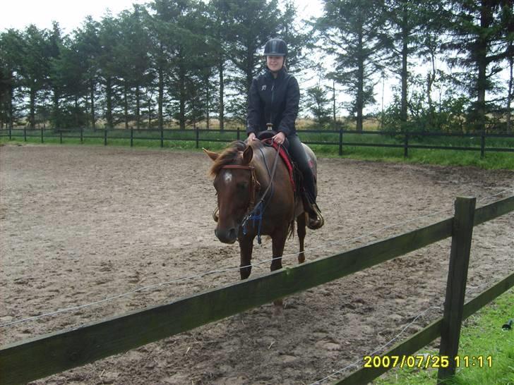 Appaloosa HHgomiss Mazie bar Solgt - Her rider jeg for første gang på hende. billede 2