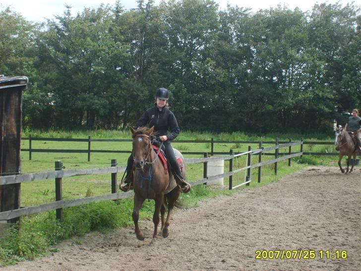 Appaloosa HHgomiss Mazie bar Solgt - Her kommer vi. Jeg sidder lidt mærkeligt, men det er jo western.  billede 4