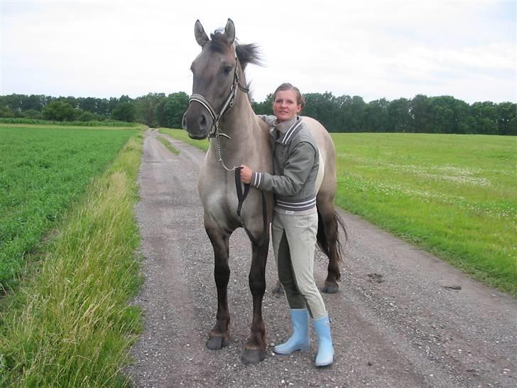 Anden særlig race Frieser / Fjordhest Freja - Freja og mig er lige ude og kigge lidt på verden ;o) billede 15