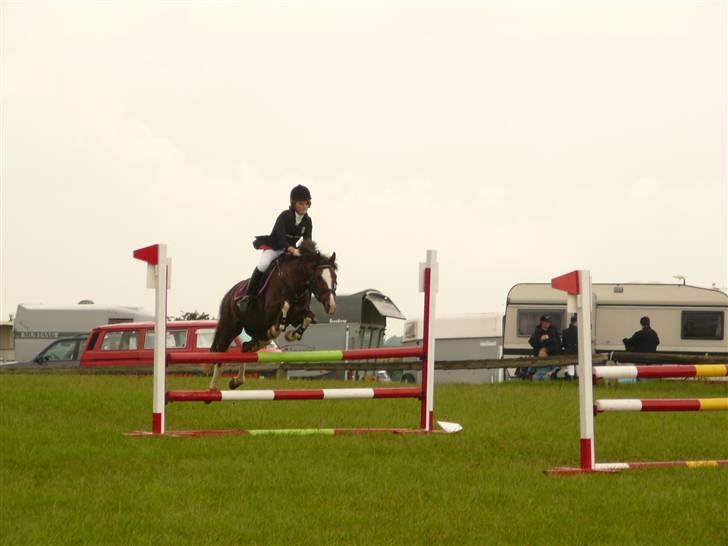 Hollandsk Sportspony Ainoa van uniken - solgt billede 3