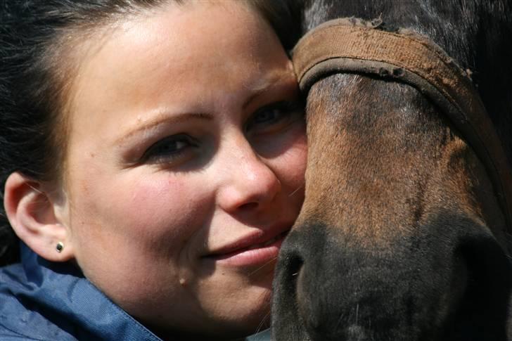 Dansk Varmblod Haiko Skovvang - Verdens bedste mule billede 5