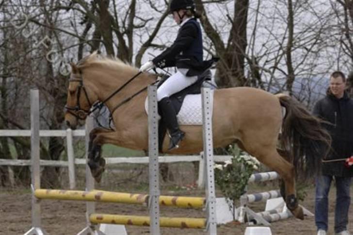 Anden særlig race Yasser - R.I.P - jump igen billede 13