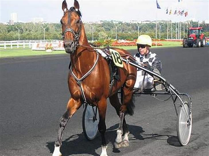 Traver Alv Peacepipe - Vincennes august 2004, vinder på 14,6 på 2825 m voltestart! billede 4
