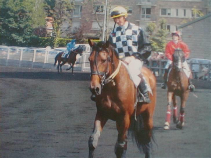 Traver Alv Peacepipe - Peacepipe´s sidste monté løb i Frankrig, rytter Phillippe Maschaelle billede 5