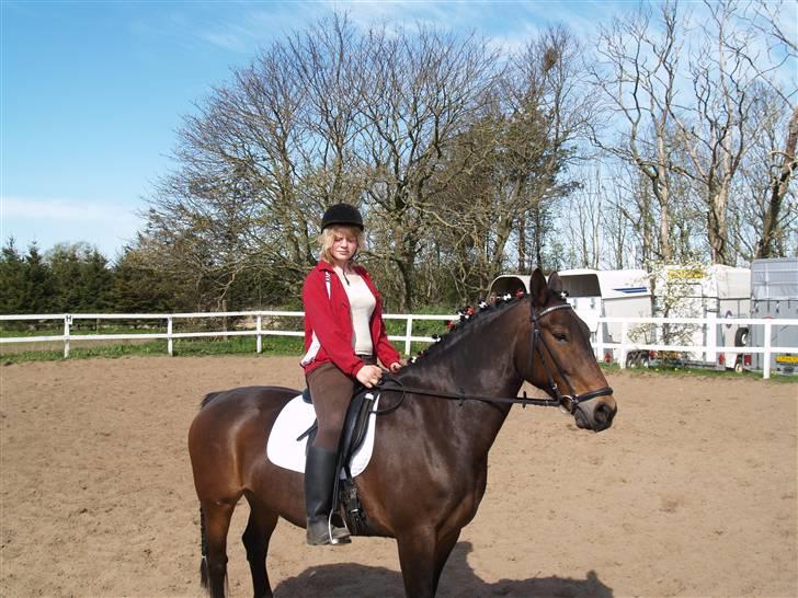 Oldenborg Cirkeline *Solgt* - ridemærkeprøve....vidste ikk at hun var min der.... men en længere historie billede 1