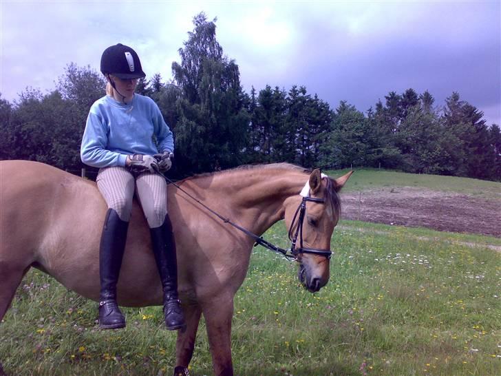 Anden særlig race Madonna :) R.I.P <3  - Hygge *; - taget af Sif Tetens xD billede 13