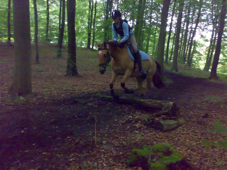 Anden særlig race Madonna :) R.I.P <3  - Spring i skoven - beklager kvaliteten .. /; billede 14